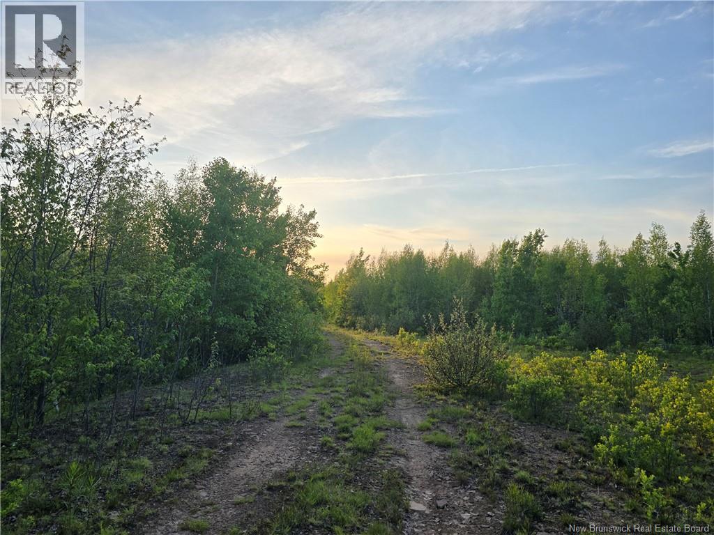 Lot 2 Dingley Road, Head Of Millstream, New Brunswick  E4Z 1W1 - Photo 7 - NB140535