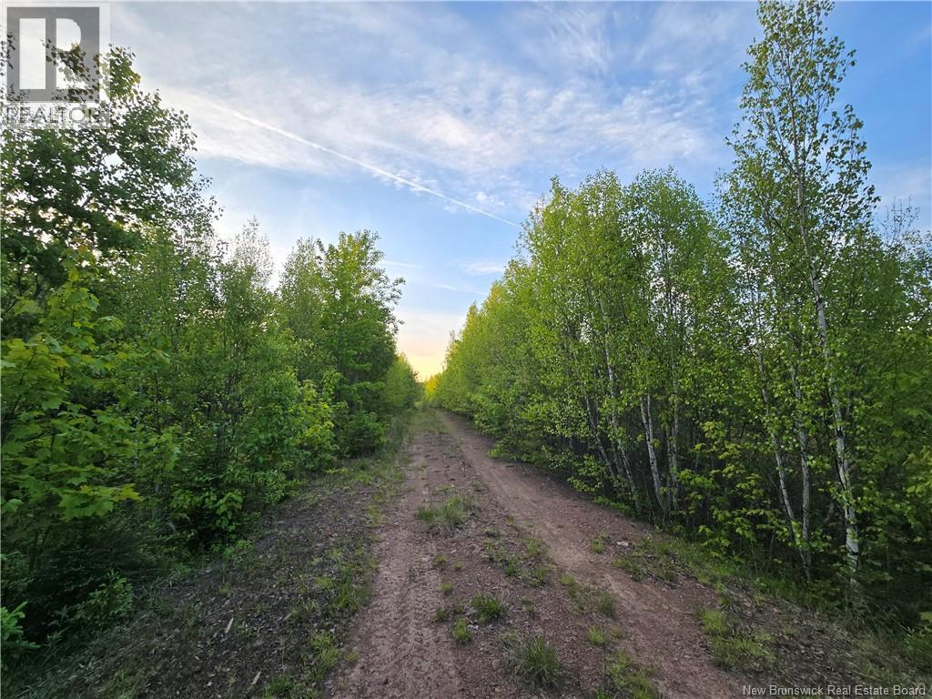 Lot 2 Dingley Road, Head Of Millstream, New Brunswick  E4Z 1W1 - Photo 8 - NB140535