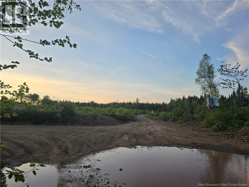 Lot 1 Dingley Road, Head Of Millstream, New Brunswick  E4Z 1W1 - Photo 15 - NB139641
