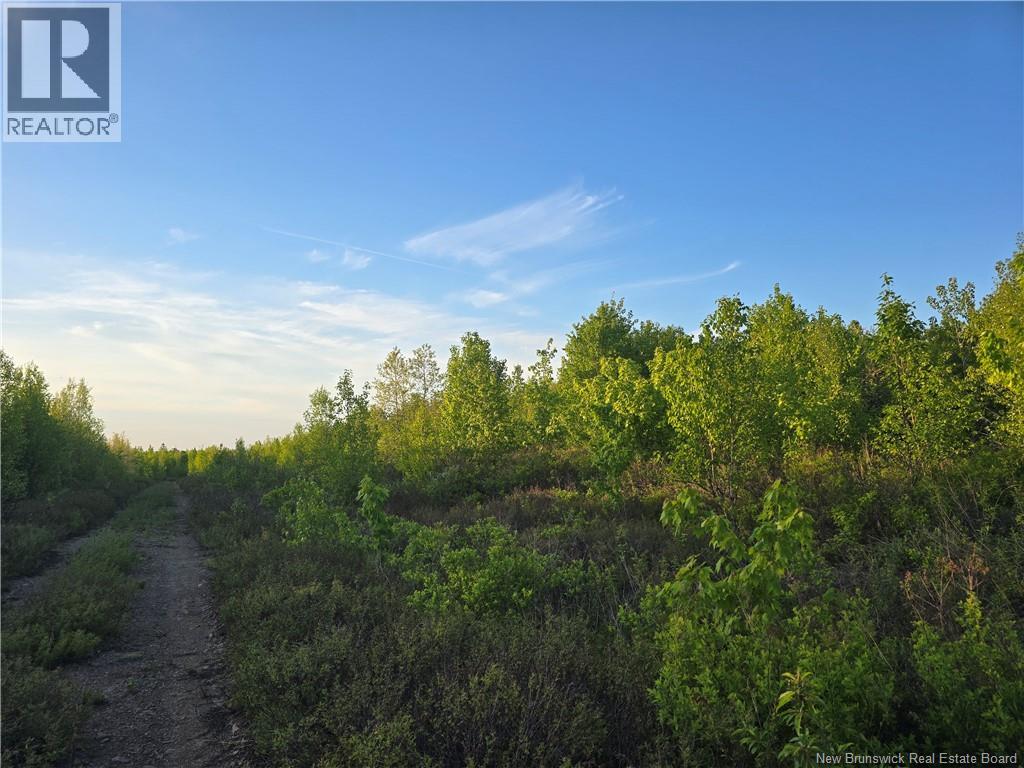 Lot 1 Dingley Road, Head Of Millstream, New Brunswick  E4Z 1W1 - Photo 4 - NB139641