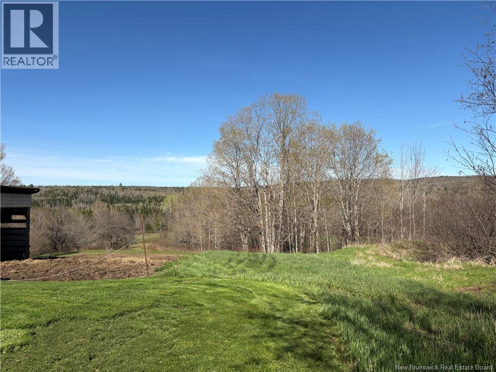 326 Dorn Ridge Road, Burtts Corner, New Brunswick  E6L 2T7 - Photo 7 - NB140981