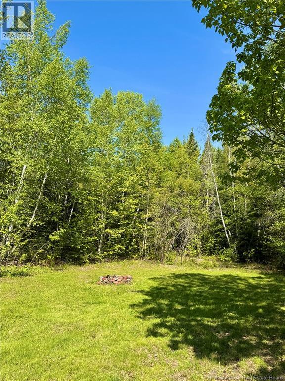 491 Mckinnon Road, Miramichi, New Brunswick  E1V 6G5 - Photo 30 - NB141093