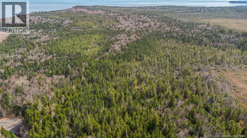 Lot C Old Shore Road, Tynemouth Creek, New Brunswick  E5R 1V8 - Photo 6 - NB141045