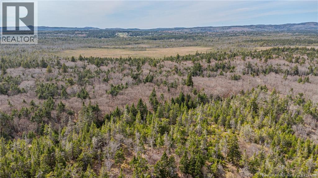 Lot C Old Shore Road, Tynemouth Creek, New Brunswick  E5R 1V8 - Photo 8 - NB141045