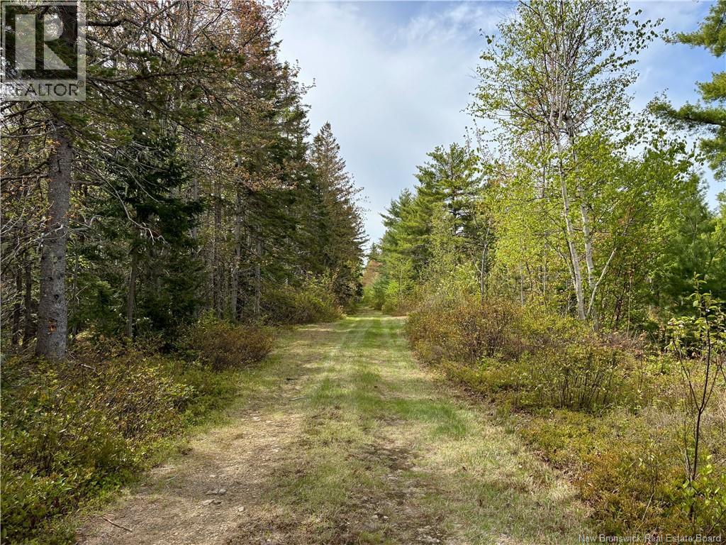 1892 Route 460, Tabusintac, New Brunswick  E9H 1E2 - Photo 10 - NB141132
