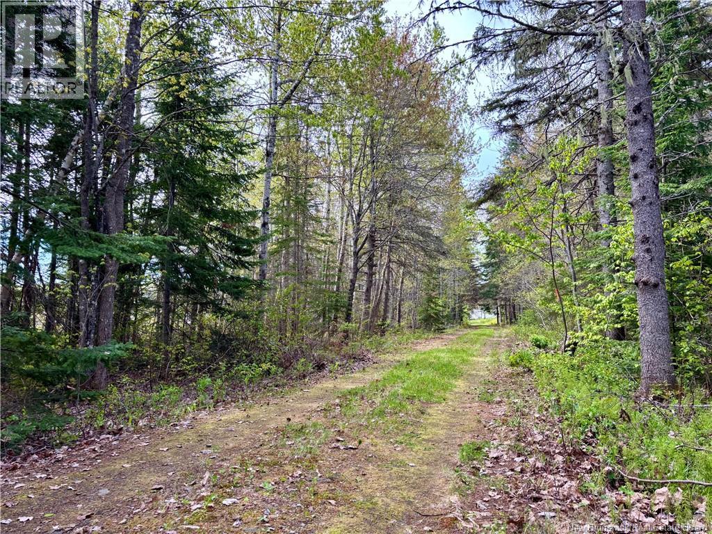 1892 Route 460, Tabusintac, New Brunswick  E9H 1E2 - Photo 9 - NB141132