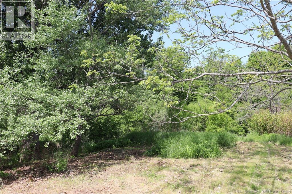 99 Mclean Street, Sussex, New Brunswick  E4E 2G5 - Photo 28 - NB141136