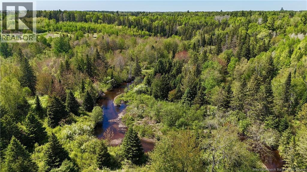 Lot Dargavels Road, Bass River, New Brunswick  E4W 2X9 - Photo 3 - NB141068