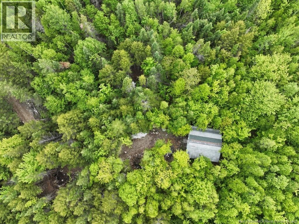 259 Hillard Farm Road, St George, New Brunswick  E5A 2X6 - Photo 16 - NB140489