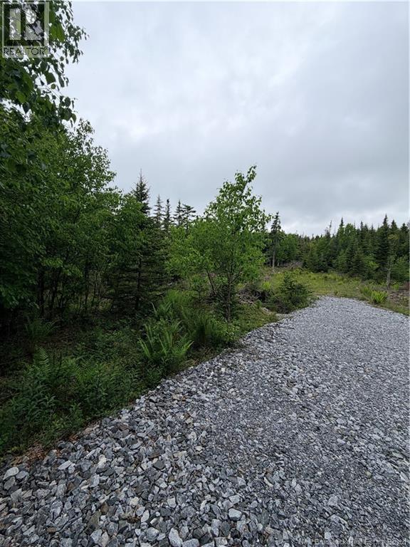 Meadow Cove Road, Musquash, New Brunswick  E5J 1Y5 - Photo 3 - NB141224