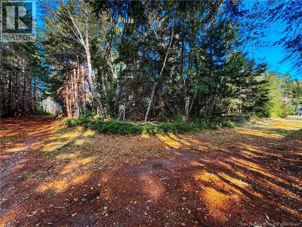 78 Irwin's Point Road, Baie Verte, New Brunswick  E4M 1J9 - Photo 19 - NB141232