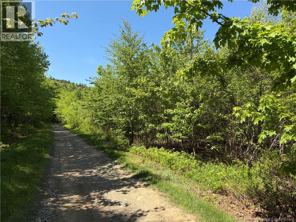 124 Greenhill Lake Road, Green Hill, New Brunswick E6E 1G2 - Photo 2 - NB141147