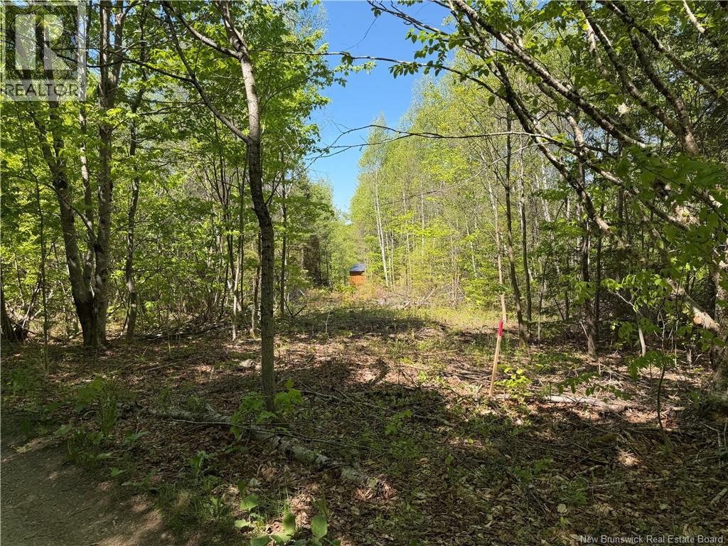 124 Greenhill Lake Road, Green Hill, New Brunswick E6E 1G2 - Photo 3 - NB141147