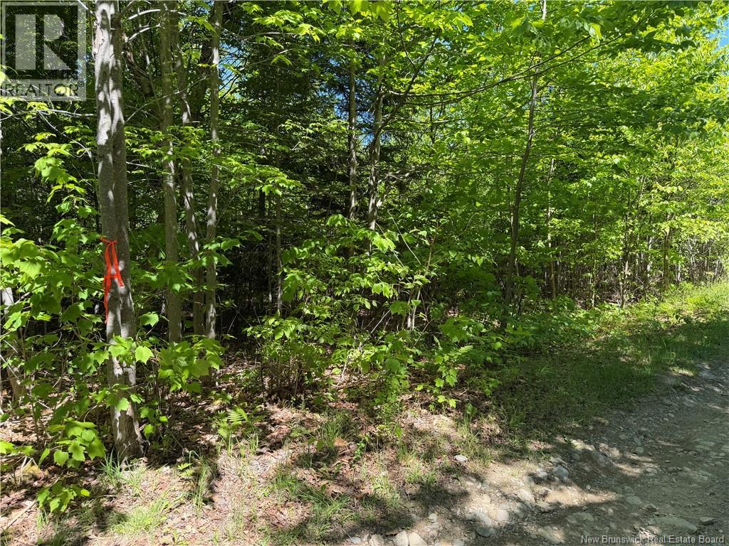 124 Greenhill Lake Road, Green Hill, New Brunswick E6E 1G2 - Photo 4 - NB141147