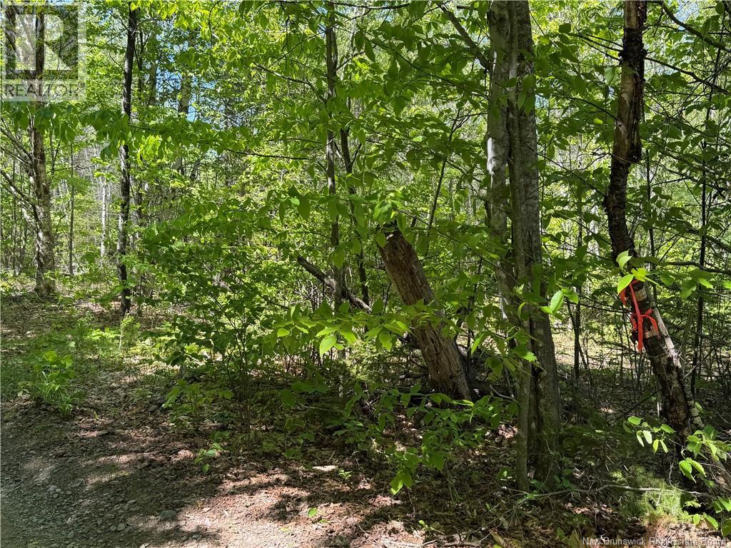 124 Greenhill Lake Road, Green Hill, New Brunswick E6E 1G2 - Photo 5 - NB141147