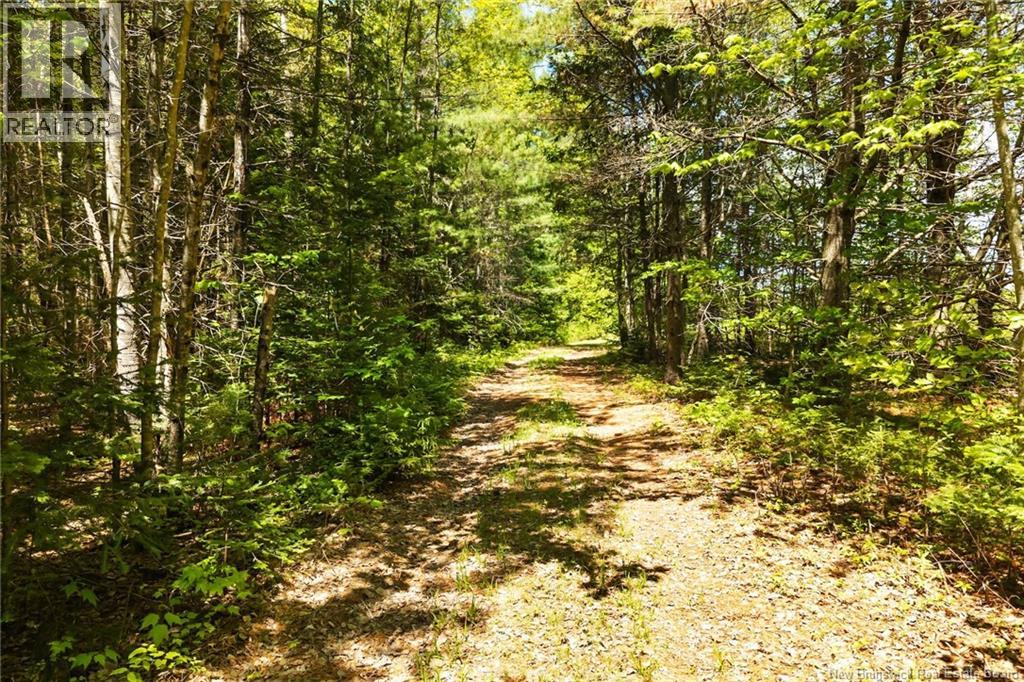 8353 Route 10, Cumberland Bay, New Brunswick  O0O 0O0 - Photo 26 - NB140789