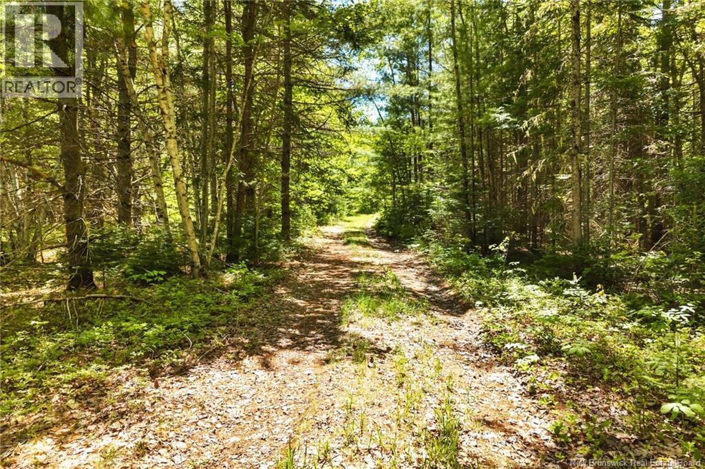 8353 Route 10, Cumberland Bay, New Brunswick  O0O 0O0 - Photo 32 - NB140789