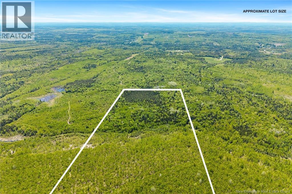 8353 Route 10, Cumberland Bay, New Brunswick  O0O 0O0 - Photo 46 - NB140789