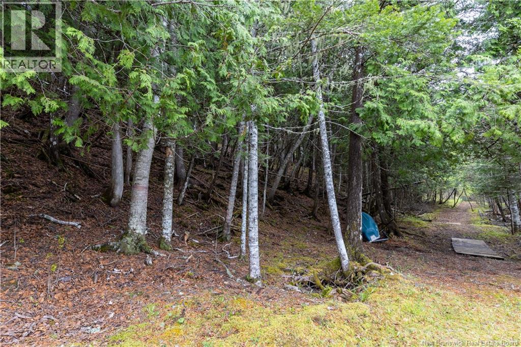 Lot Enterprise Road, Enterprise, New Brunswick  E7G 1M3 - Photo 13 - NB140705
