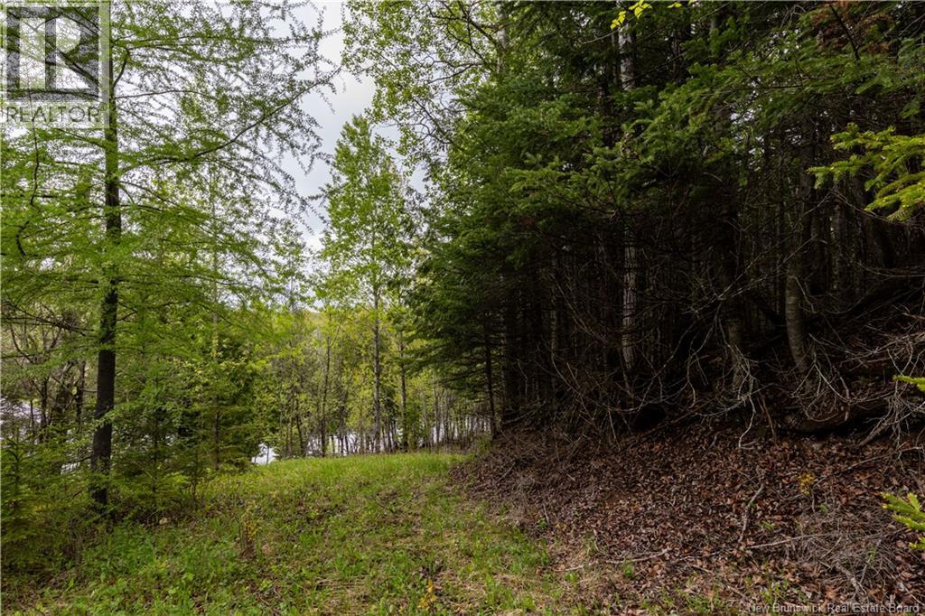 Lot Enterprise Road, Enterprise, New Brunswick  E7G 1M3 - Photo 17 - NB140705