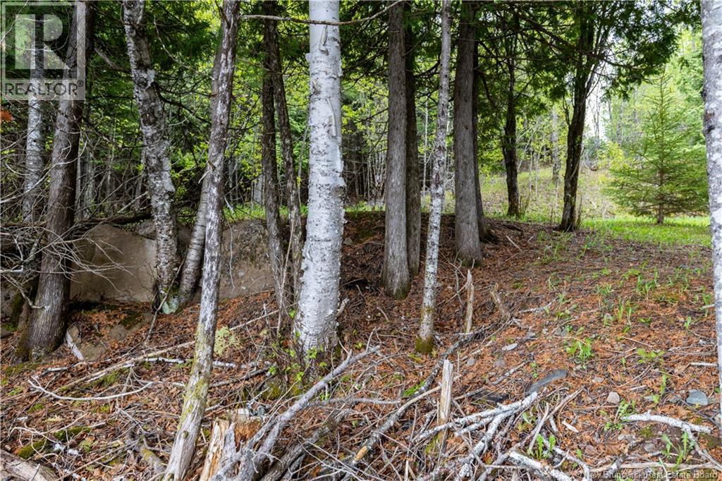 Lot Enterprise Road, Enterprise, New Brunswick  E7G 1M3 - Photo 25 - NB140705