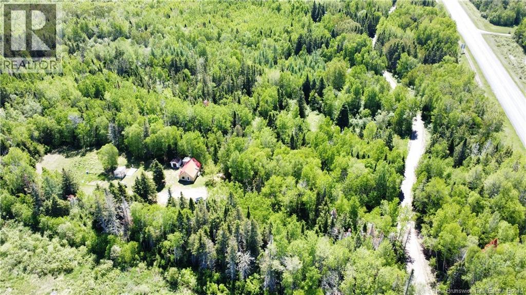 366 Thomas Ouest Road, Beresford, New Brunswick E8K 2A8 - Photo 10 - NB141391