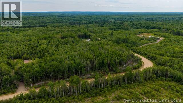 Lot Village-Des-Cormier Road, Gladeside, New Brunswick  E4T 3G7 - Photo 10 - NB141381