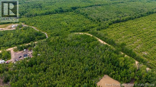 Lot Village-Des-Cormier Road, Gladeside, New Brunswick  E4T 3G7 - Photo 11 - NB141381