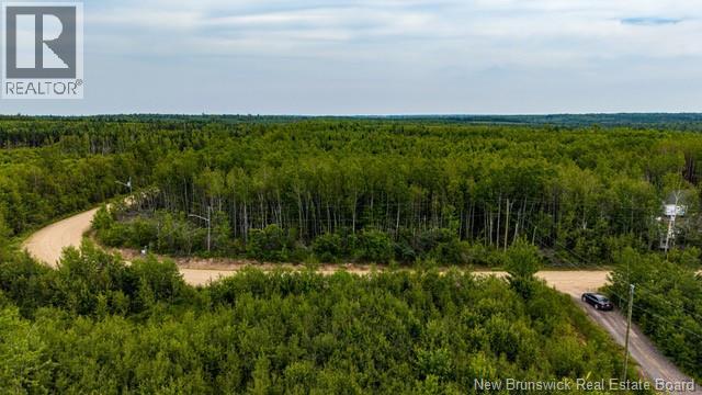 Lot Village-Des-Cormier Road, Gladeside, New Brunswick  E4T 3G7 - Photo 12 - NB141381