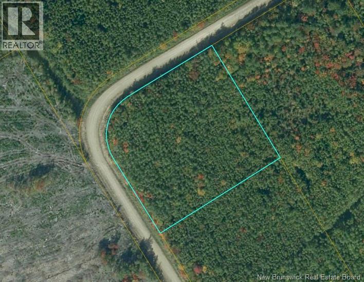 Lot Village-Des-Cormier Road, Gladeside, New Brunswick  E4T 3G7 - Photo 13 - NB141381