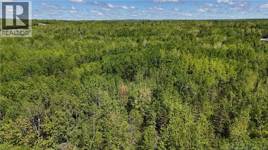 Lot 21-1, 21-2 Route 106, River Glade, New Brunswick E4Z 6E5 - Photo 8 - NB141174