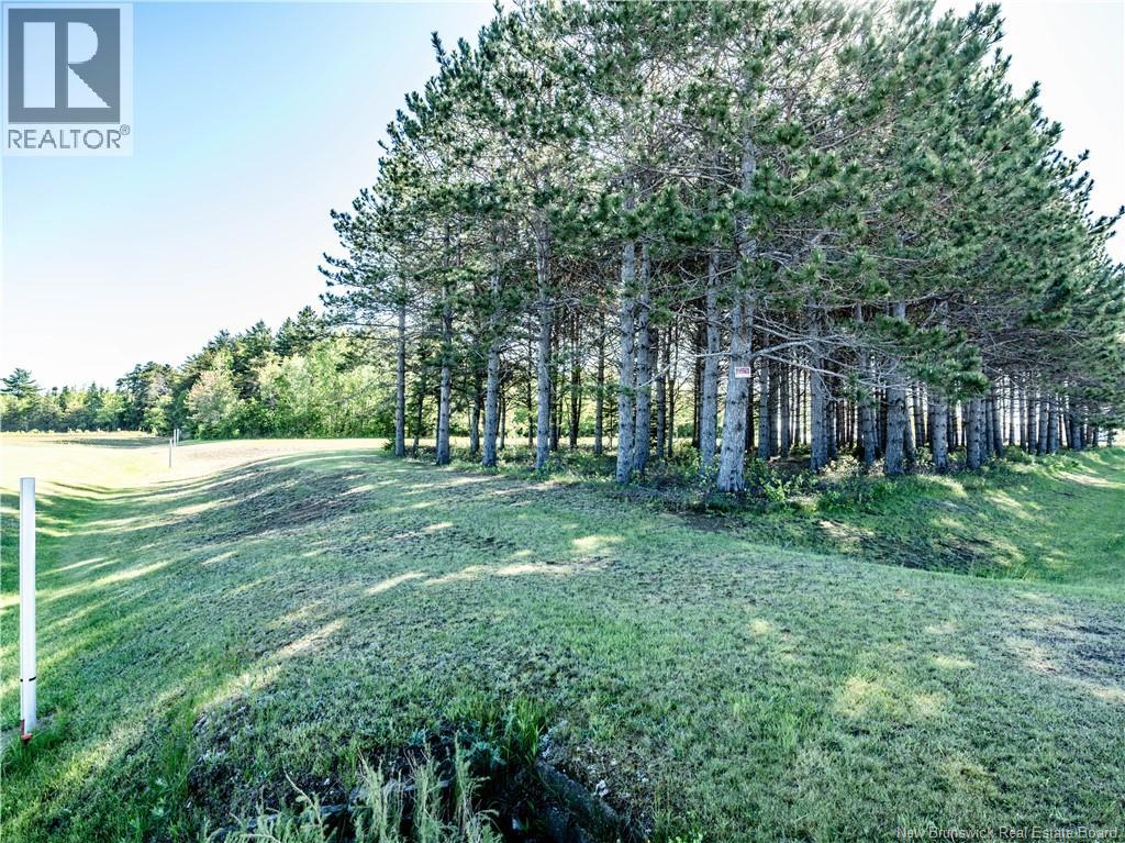 679 Chemin Bedec, Richiboucto-Village, New Brunswick  E4W 1B1 - Photo 21 - NB141092