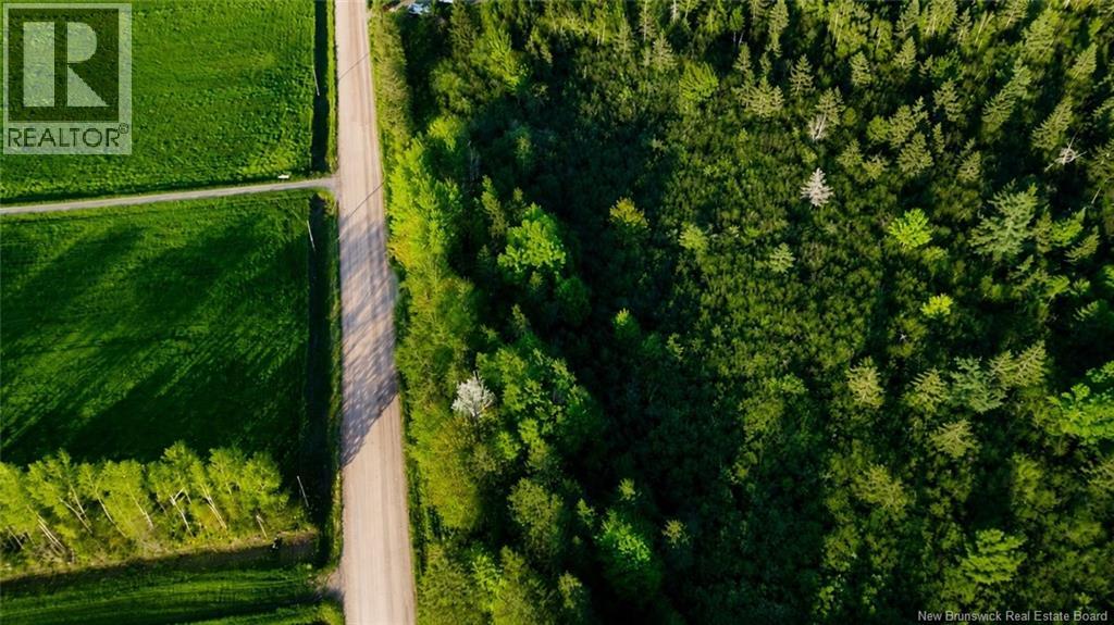 Lot Baseline Road, Cornhill, New Brunswick  E4Z 1J4 - Photo 11 - NB141272