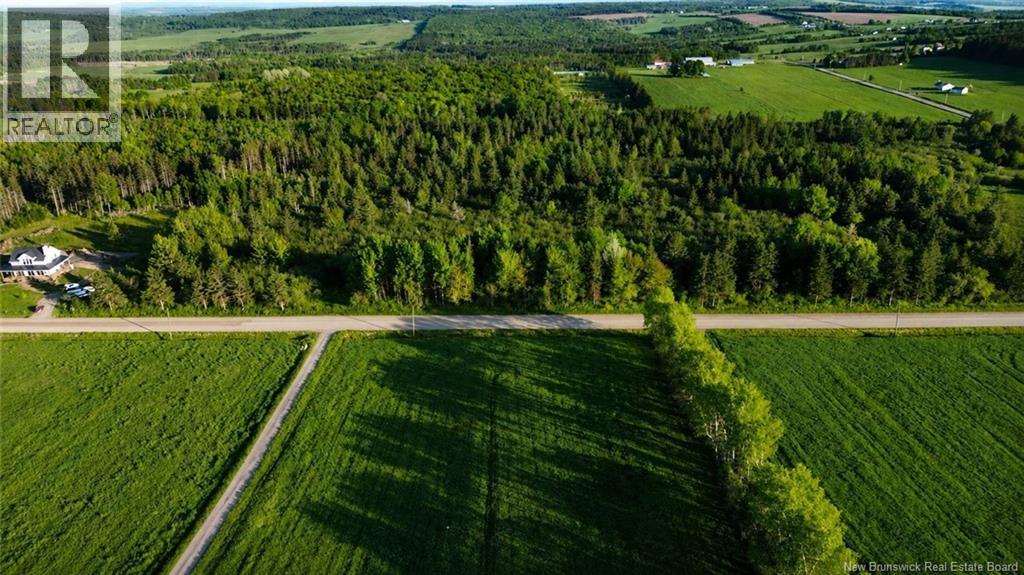 Lot Baseline Road, Cornhill, New Brunswick  E4Z 1J4 - Photo 13 - NB141272
