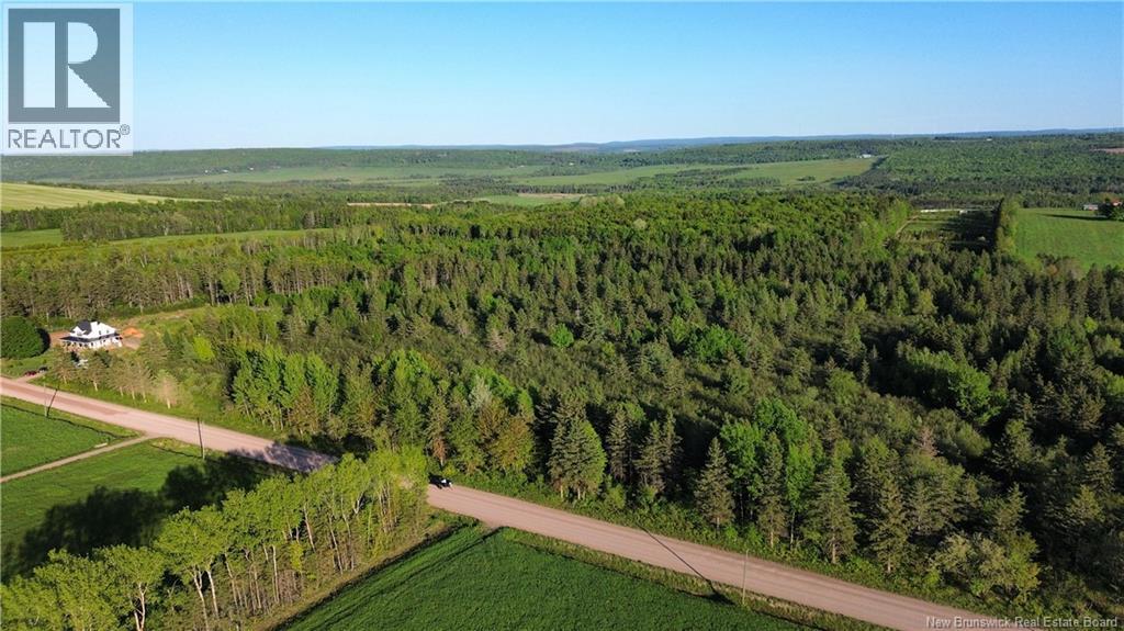 Lot Baseline Road, Cornhill, New Brunswick  E4Z 1J4 - Photo 17 - NB141272