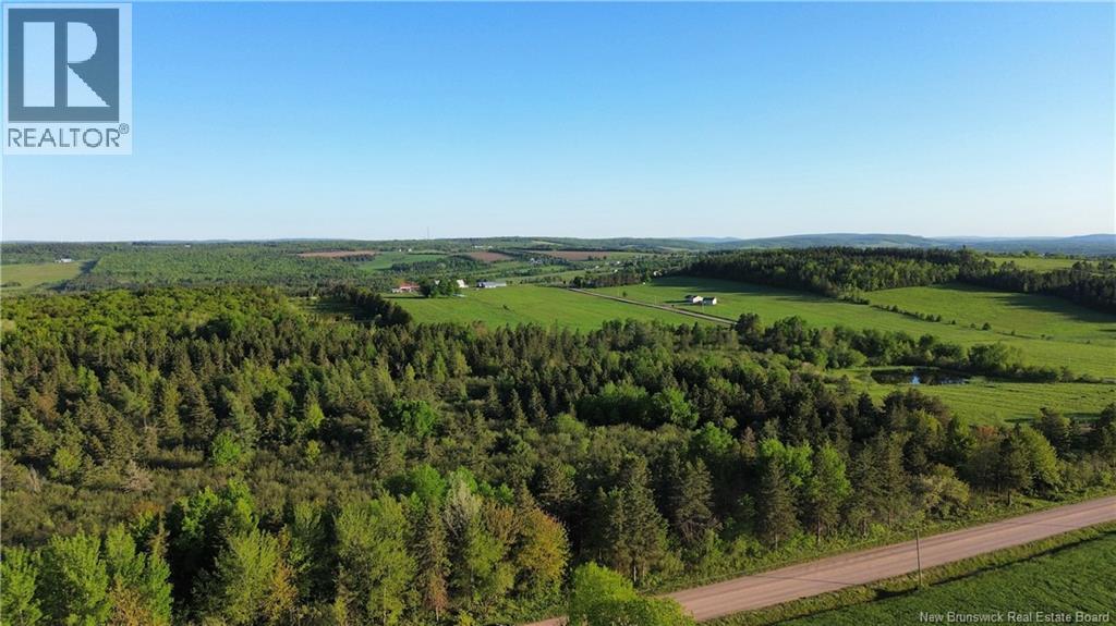 Lot Baseline Road, Cornhill, New Brunswick  E4Z 1J4 - Photo 19 - NB141272