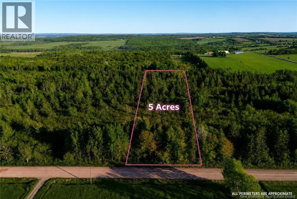 Lot Baseline Road, Cornhill, New Brunswick  E4Z 1J4 - Photo 2 - NB141272