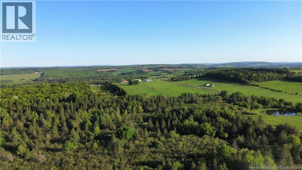 Lot Baseline Road, Cornhill, New Brunswick  E4Z 1J4 - Photo 23 - NB141272