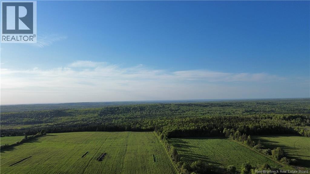 Lot Baseline Road, Cornhill, New Brunswick  E4Z 1J4 - Photo 25 - NB141272