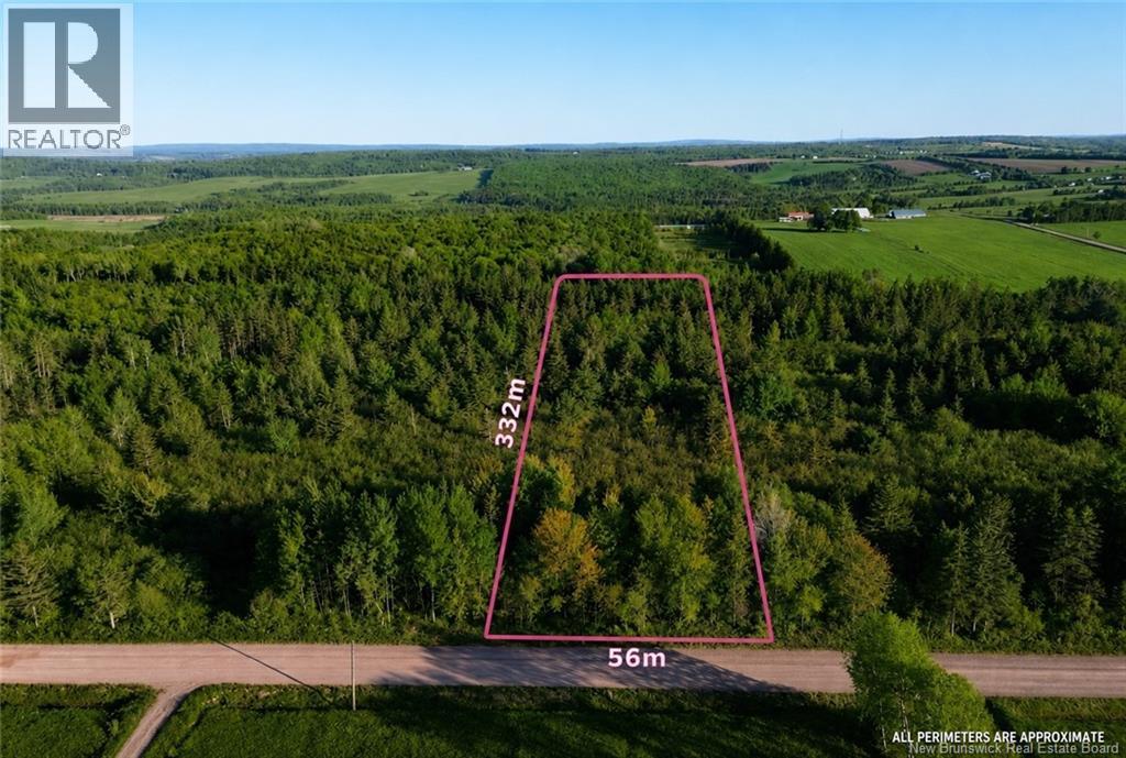 Lot Baseline Road, Cornhill, New Brunswick  E4Z 1J4 - Photo 3 - NB141272