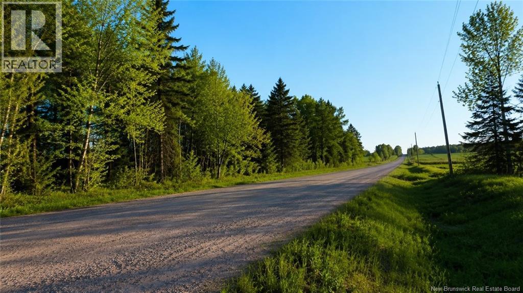 Lot Baseline Road, Cornhill, New Brunswick  E4Z 1J4 - Photo 33 - NB141272