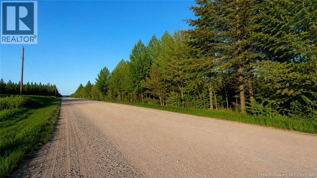 Lot Baseline Road, Cornhill, New Brunswick  E4Z 1J4 - Photo 34 - NB141272