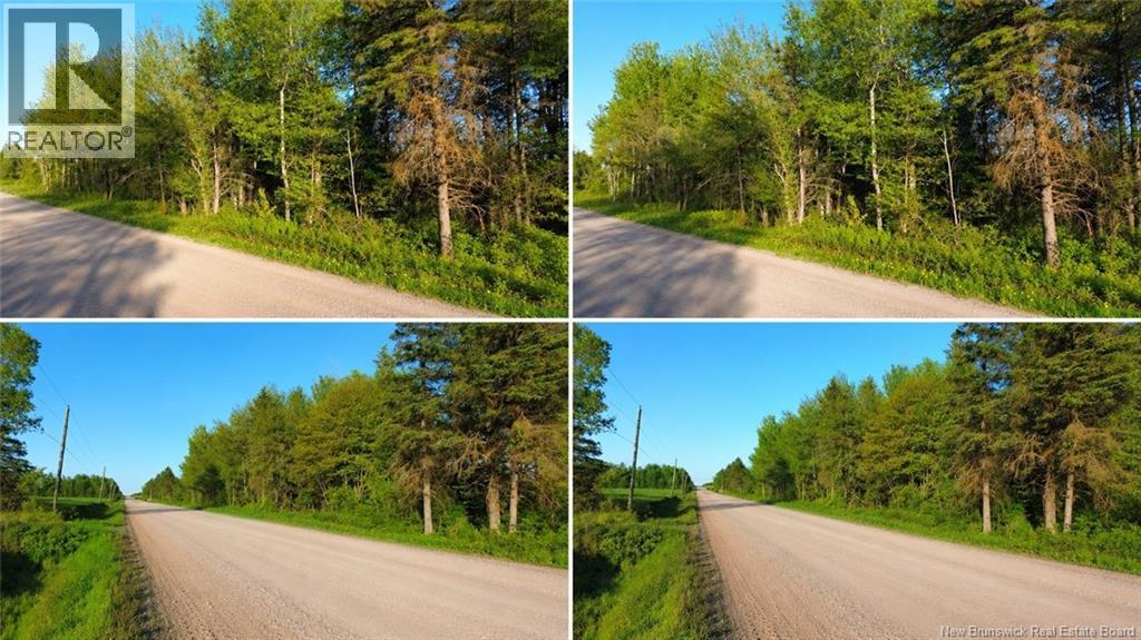 Lot Baseline Road, Cornhill, New Brunswick  E4Z 1J4 - Photo 4 - NB141272