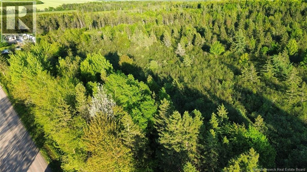 Lot Baseline Road, Cornhill, New Brunswick  E4Z 1J4 - Photo 7 - NB141272