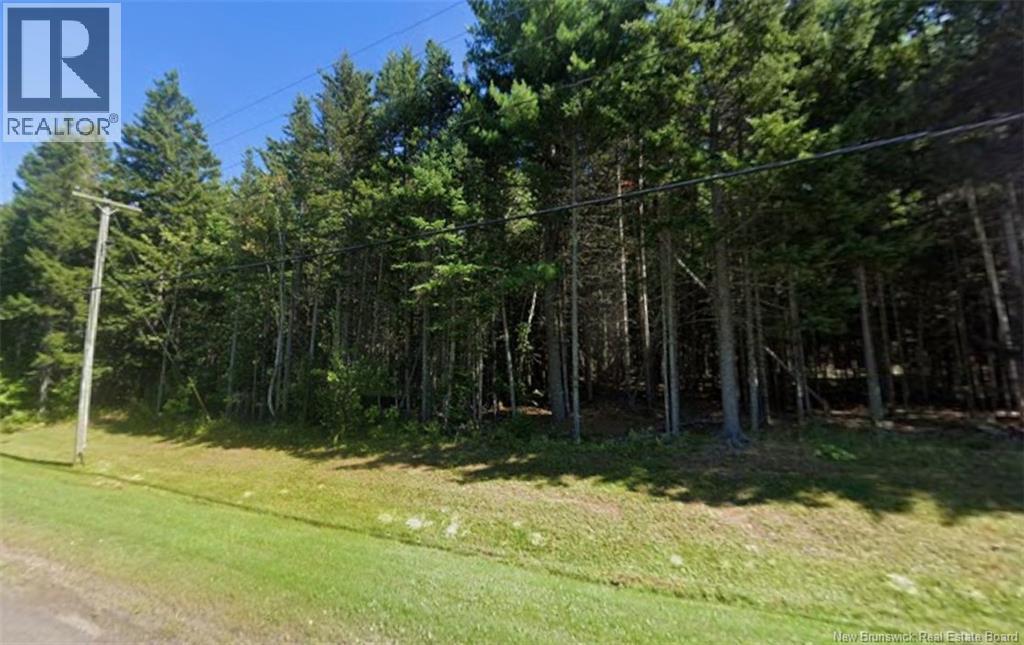 Lot Whites Settlement Road, Cocagne, New Brunswick E4R 3N7 - Photo 5 - NB141360