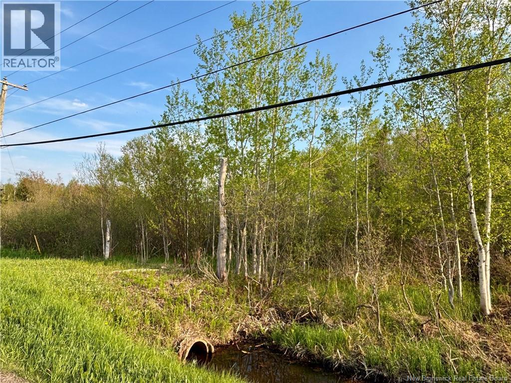 33.8 Acres Route 310, Coteau Road, New Brunswick