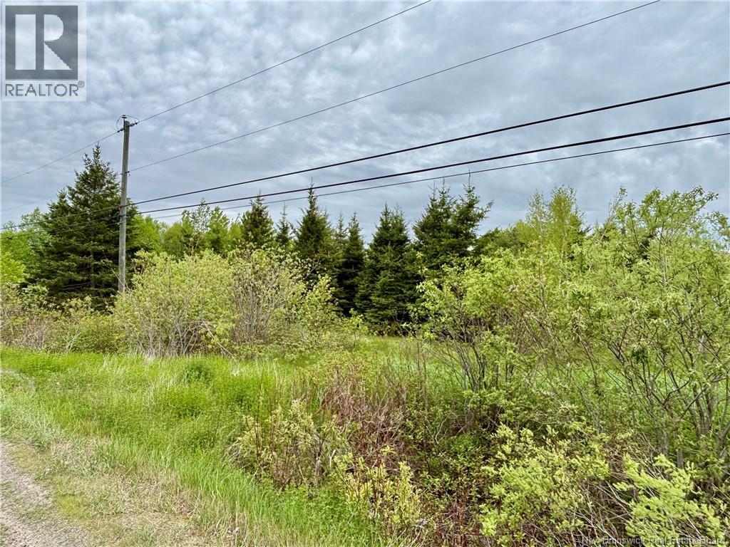 32.6 Acres Rte 160, Saint-Isidore, New Brunswick