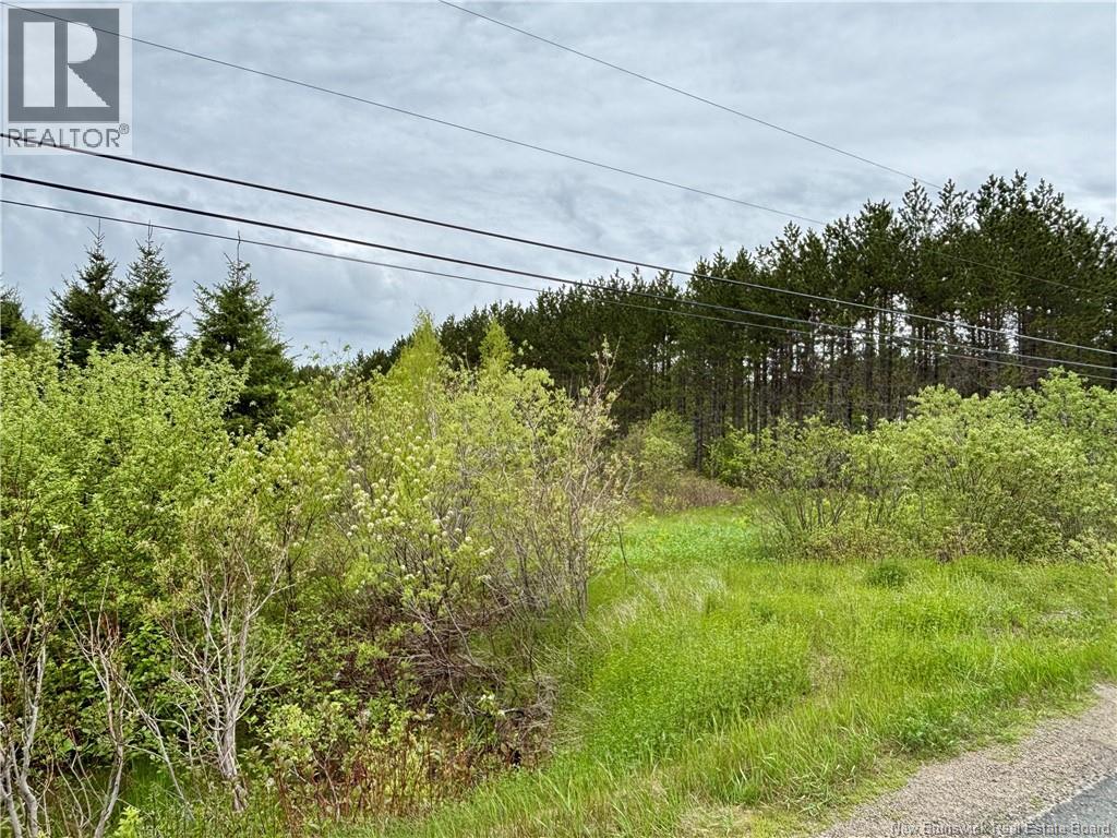 32.6 Acres Rte 160, Saint-Isidore, New Brunswick E8M 1A9 - Photo 2 - NB141558