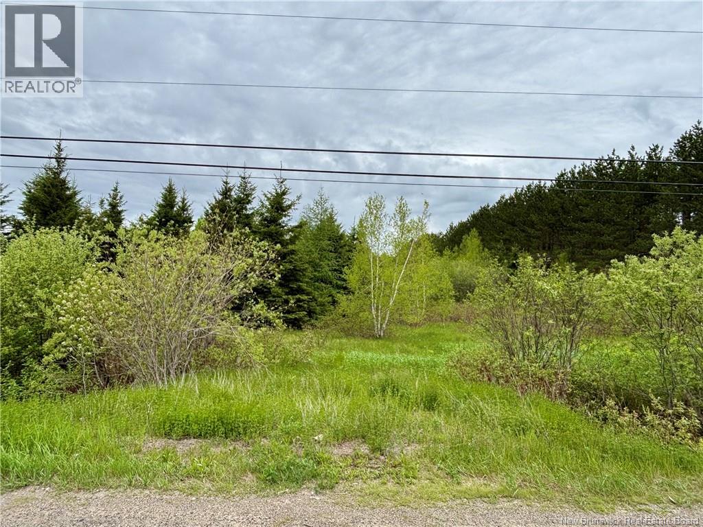 32.6 Acres Rte 160, Saint-Isidore, New Brunswick E8M 1A9 - Photo 3 - NB141558