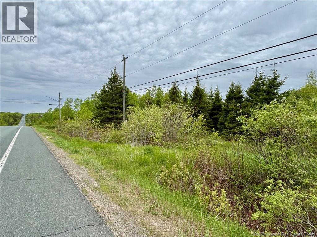 32.6 Acres Rte 160, Saint-Isidore, New Brunswick E8M 1A9 - Photo 4 - NB141558